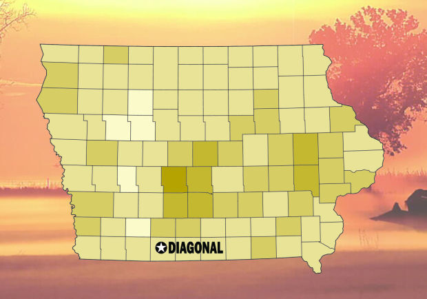Diagonal, Iowa
